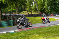 cadwell-no-limits-trackday;cadwell-park;cadwell-park-photographs;cadwell-trackday-photographs;enduro-digital-images;event-digital-images;eventdigitalimages;no-limits-trackdays;peter-wileman-photography;racing-digital-images;trackday-digital-images;trackday-photos